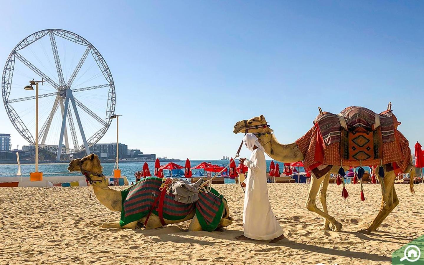 Murjan Jbr Apartments By Happy Season Dubaj Zewnętrze zdjęcie